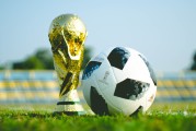 国际乒乓球混双公开赛启动青少年陪练师资认证